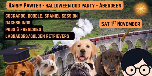 Halloween (Harry Pawter) Dog Party - Aberdeen