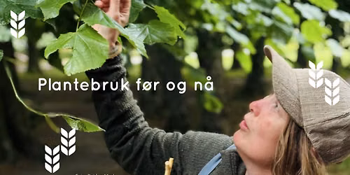 Plantebruk f\u00f8r og n\u00e5