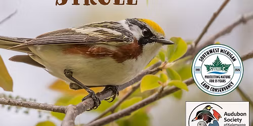 Spring Migration Stroll