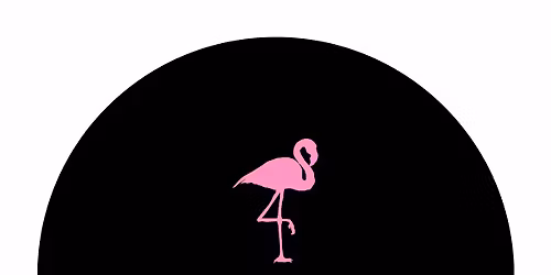Pink Flamingo Facepaint Pop-up 