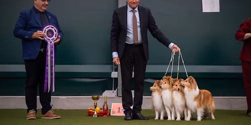 Saltenutstillinga 2026