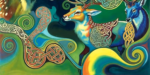 Phenomenal Animal at the Celtic Ray!