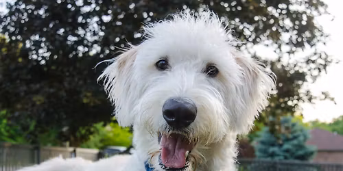 Sunday Adolescent Class - Starts 9th November - 6 Week Class