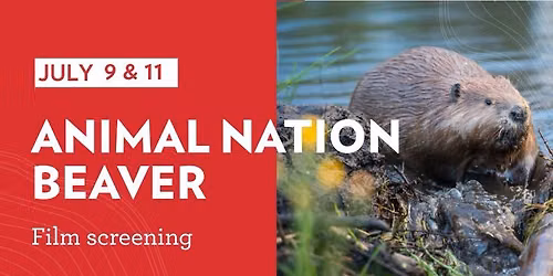 Film Screening: Animal Nation - Beaver