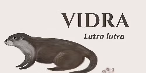 Skupinski popis vidre v MOL