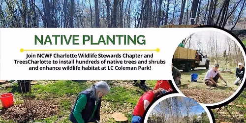 Native Tree and Shrub Planting