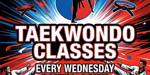 Taekwondo classes