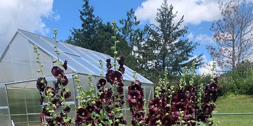 Weekend Plant & Herb Sale