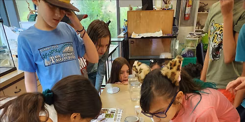 Youth Program: Mosquito Mania