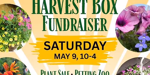 HARVEST BOX Fundraiser\/ Plant Sale\/ Brat Fry\/ Petting Zoo