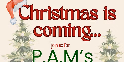 2025 PAM Furnishings Christmas window reveal
