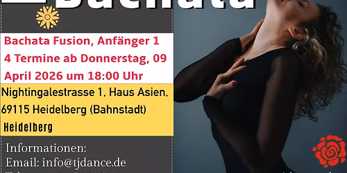 Bachata Anf\u00e4ngerkurs