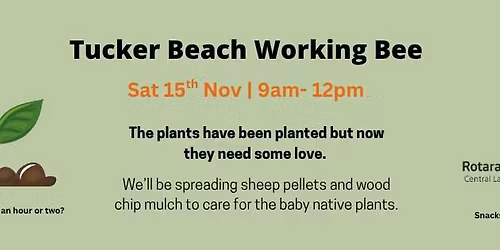 Tucker Beach Working Bee