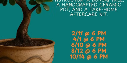 Bonsai Workshop