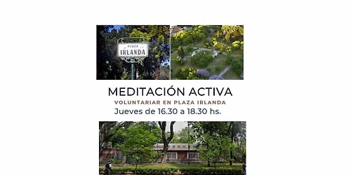 Meditaci\u00f3n Activa (Voluntariar en la Huerta de Plaza Irlanda)