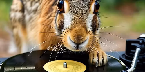 Stamford Record Fair