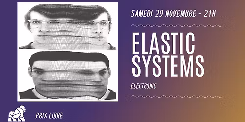 ELASTIC SYSTEMS au Gorille