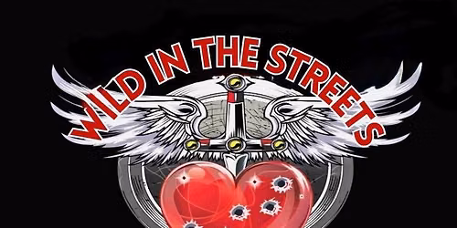Wild In The Streets Band - Live at Lakes Jam