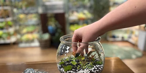 Begonia Terrarium Workshop