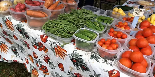 Port St Joe Salt Air Christmas Market 