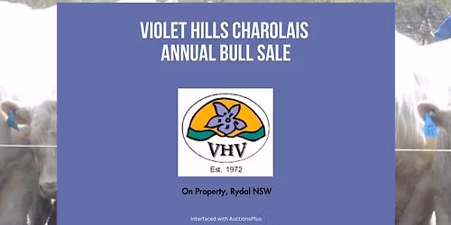 Violet Hills Charolais Annual Bull Sale