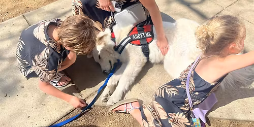 Adoption Event: Love Pup Family Fest at Truck Yard with Saving Pyrs In Need (SPIN) Rescue
