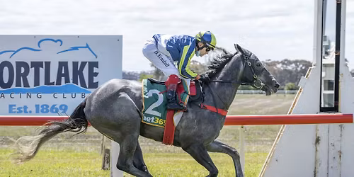 Bus to Mortlake Cup - Derby Day