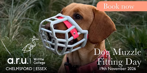 \ud83d\udc3e Muzzle Fitting Day at Writtle Pet Behaviour Clinic