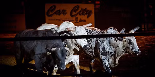 Amped Up Bull Riding