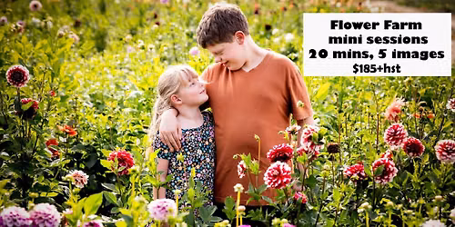 Flower Farm mini sessions