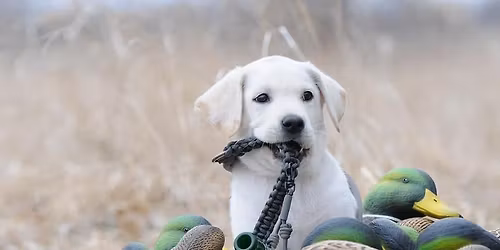 NEPA Delta Waterfowl Banquet