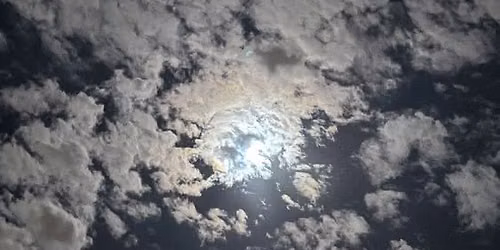 Full Moon Forest Immersion Walk