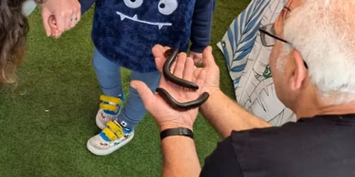 Riverview Reptiles at Belvoir Animal Park!