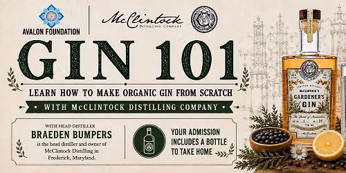 Gin 101: The Art of Gin Infusion