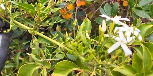 Lab botanica! IMPARIAMO A COSTRUIRE UN ORTO-GIARDINO IN VASO