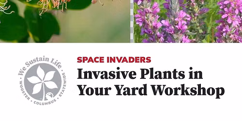 Invasive Plants in your Yard Workshop