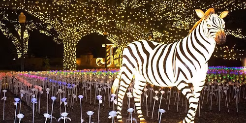 Sexy Zebras Madrid Tickets