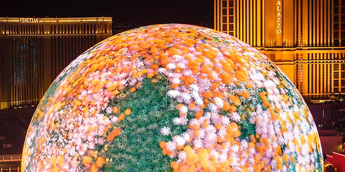 Parking - The Wizard of Oz at Sphere - Las Vegas