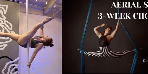 Aerial Silks and Pole 3-Week Choreography Series