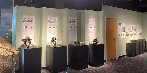 Accessible Adventures: Megafauna of the IceAge