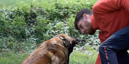 Stage de Nosework avec Bastien March\u00e9