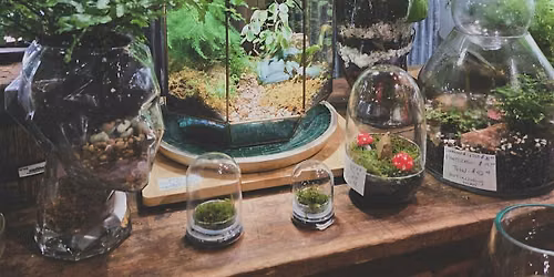 TERRARIUM WORKSHOP