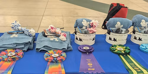 Miniature Poodle Club of Ontario Specialty 2026