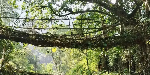 Offbeat Trails of Kaziranga & Meghalaya