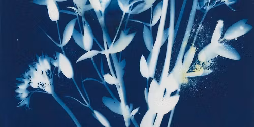 SOLD OUT Beginners Botanical Cyanotype - a half-day workshop (morning)