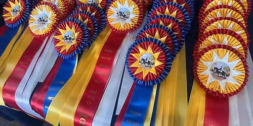 WNYDA Year End Awards Banquet 