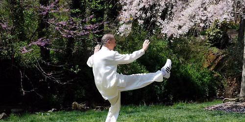 Tai Chi Form & Fight!