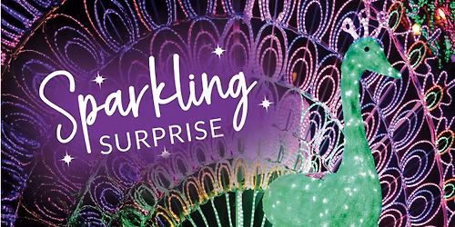 Sparkling Surprise