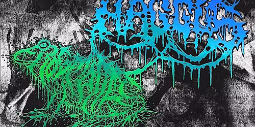 Haggus, Frog Mallet, Necro Felony, and Chronic Wasting