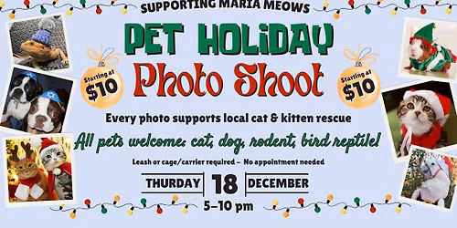 Pet Holiday Photo Shoot